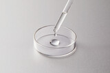 Fototapeta  - Petri dish with one dropper contained serum or acid or liquid on silver grey background