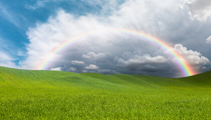 Beautiful landscape with green grass field amazing rainbow in the background 