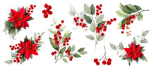 Set With Poinsettia, Holly, Winter Berries In Christmas Bouquet. Modern Universal Artistic Templates. Corporate Holiday Cards And Invitations. Floral Backgrounds Design. Watercolor Botanical.