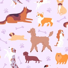 Seamless Pattern With Cute Dogs And Puppies In Scandinavian Style. Print With Doodle Poodle, Pug, Corgi And German Shepherd Vector Texture