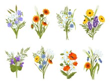 Blossom Bouquets With Garden And Meadow Wild Flowers And Herbs. Beautiful Summer Field Wildflowers, Daisy, Sunflower And Poppy Vector Set
