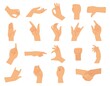 Isolated hands gestures. Isolated hand gesture, arm showing different signs. Body parts, finger poses collection. Cartoon female palms decent vector set