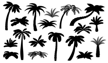 Poster - Black palm tree silhouettes. Isolated palms, coconut trees. Beach bush, tropical exotic forest elements. Summer ocean travel landscape recent vector set