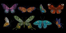 Embroidery Butterflies. Floral Butterfly, Orange Blue Flying Insects. Textile Decoration, Fashion Graphic Patches. Stitch Templates, Nowaday Vector Set