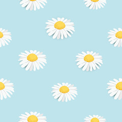 Canvas Print - Seamless pattern, background decorated with yellow white daisy chamomile flowers