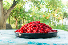 Raspberries Background. Fresh Red Berries Of Ripe Raspberries	