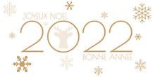 Carte Voeux 2022 Blanc Or