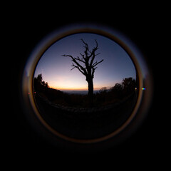 Wall Mural - Beautiful view from the peephole to the tree at sunset