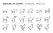 Domestic animals related, pixel perfect, editable stroke, up scalable square line vector icon set.