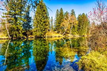 Wall Mural - Loisachabfluß aus dem Kochelsee