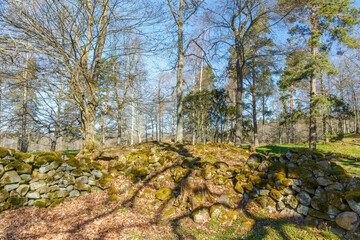 Wall Mural - Old mossy stone ruin in a woodland at springtime