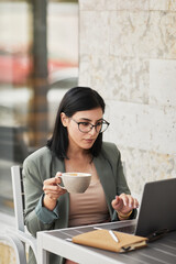 Wall Mural - Vertical portrait of young successful businesswoman iusing laptop at outdoor cafe