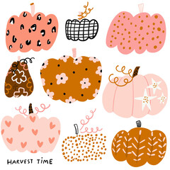 Creative decorative pumpkin set Autumn creative pumpkin collection isolated on white. Vector illustration