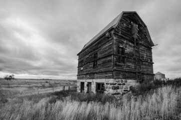 Poster - Grayscale shot of an old barn in the field.