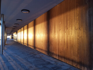 Sticker - Sunlit hallway with a wooden wall and a ceiling with lamps