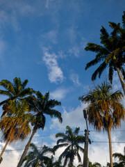 Ancestral Paradise 2, Colombia
