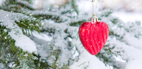 Wall Mural - red heart on snow covered pine branch .valentines day background.