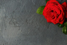 Red Rose On Slate Background