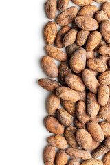 Sticker - Dried cocoa beans