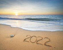 2022 Year On The Sea Shore.