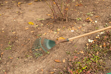 Rake On The Ground In Autumn For Harvesting Autumn Leaves, Gardener's Tools, Yard