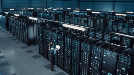 Poster - Animated Concept: Big Data Center Female Chief Technology Officer Using Laptop Standing In Warehouse, Activates Servers, Information Digitalization Starts. SAAS, Cloud Computing, Web Service