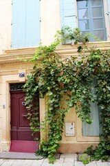 Sticker - door with flowers