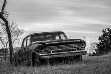 Abandoned Chevy Nova
