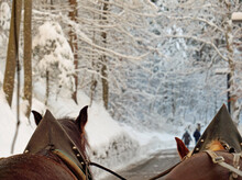 Two Horses From Behind Pulling Carriage In Snowy Road