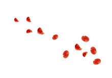 赤いバラの花びらが舞い散るイラスト