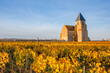 church in the vineyards of chablis