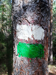 Vertical shot of trekking markings on a tree