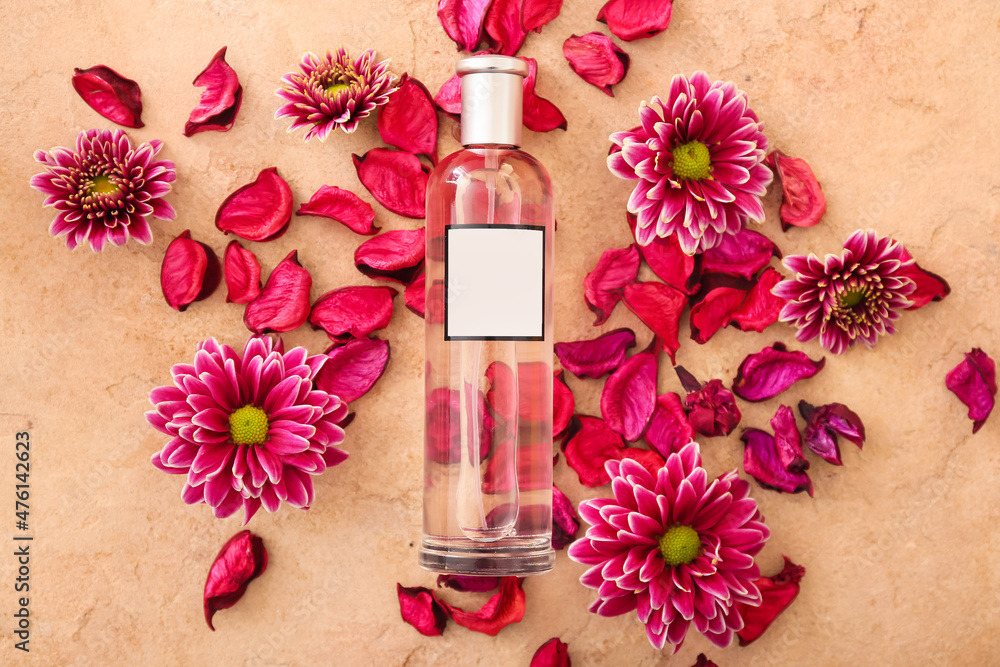 Bottle of perfume, petals and flowers on color background