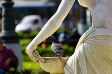 BARRANCO, LIMA, PERU: Pigeon Perched On Vessel Held By Statue Woman