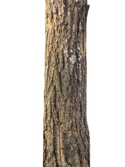 Aufkleber - Trunk of a Tree Isolated On White Background