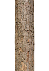 Aufkleber - Trunk of a Tree Isolated On White Background
