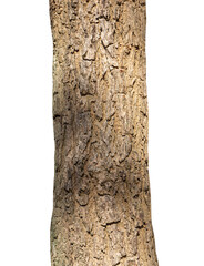Aufkleber - Trunk of a tree Isolated On White Background