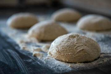 Sticker - Selective-focus shot of homemade sourdough for making delcious pizza