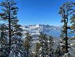 Scenic view of Lake Tahoe framed by snow covered trees, as seen from a ski resort on a bluebird winter day