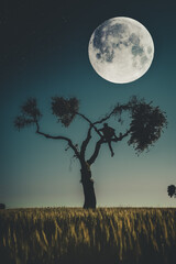 Wall Mural - Eerie scenery of a silhouette of a man on a tree with the full moon in the dark sky