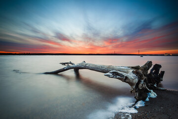 Canvas Print - Beautiful sunset at  Curonian Lagoon in Lithuania