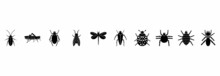 Insect Icon Set, Insect Vector Set Sign Symbol