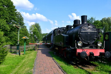 A close up on an old yet still used steam locomotive with some compartments standing on a platform next to a pavement and some trees being a part of a lush forest or moor seen in Poland in summer