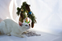 White Cute Playful Cat Lies On A White Background Playing With Christmas Toys Beads