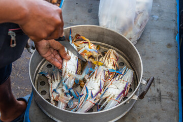 Sticker - Closeup shot of a person cutting and preparing to cook a pot of fresh crabs