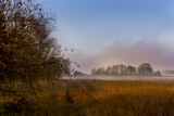 Fototapeta Tęcza - Golden misty November morning. Red dry grass and forest in fog.
