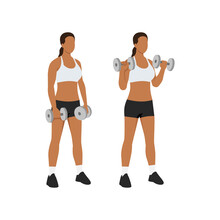 Woman doing Dumbbell bicep reverse curls exercise. Flat vector illustration isolated on white background