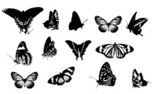 Butterfly Black And White Set Vector Illustration Design