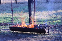Make A Fire With Dry Branches To Get A Roast For Roasting Pigs