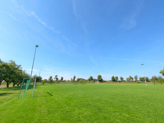 Wall Mural - Football pitch surrounded by trees in daylight